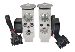 Expansion Valve SL-988602